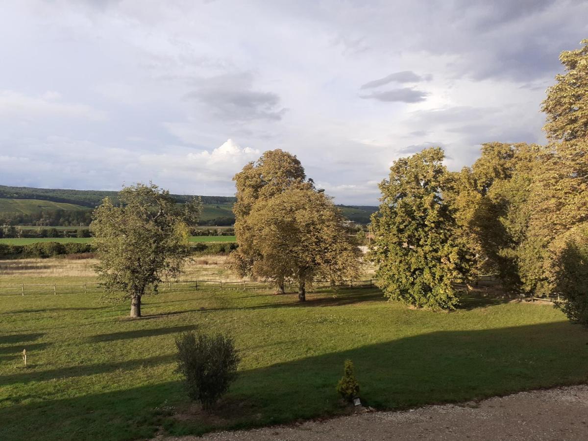 MardeuilDomaine-De-La-Borde A Epernay住宿加早餐旅馆 外观 照片
