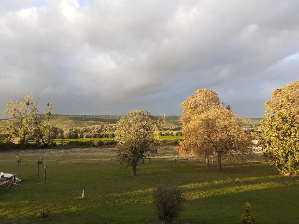 MardeuilDomaine-De-La-Borde A Epernay住宿加早餐旅馆 外观 照片