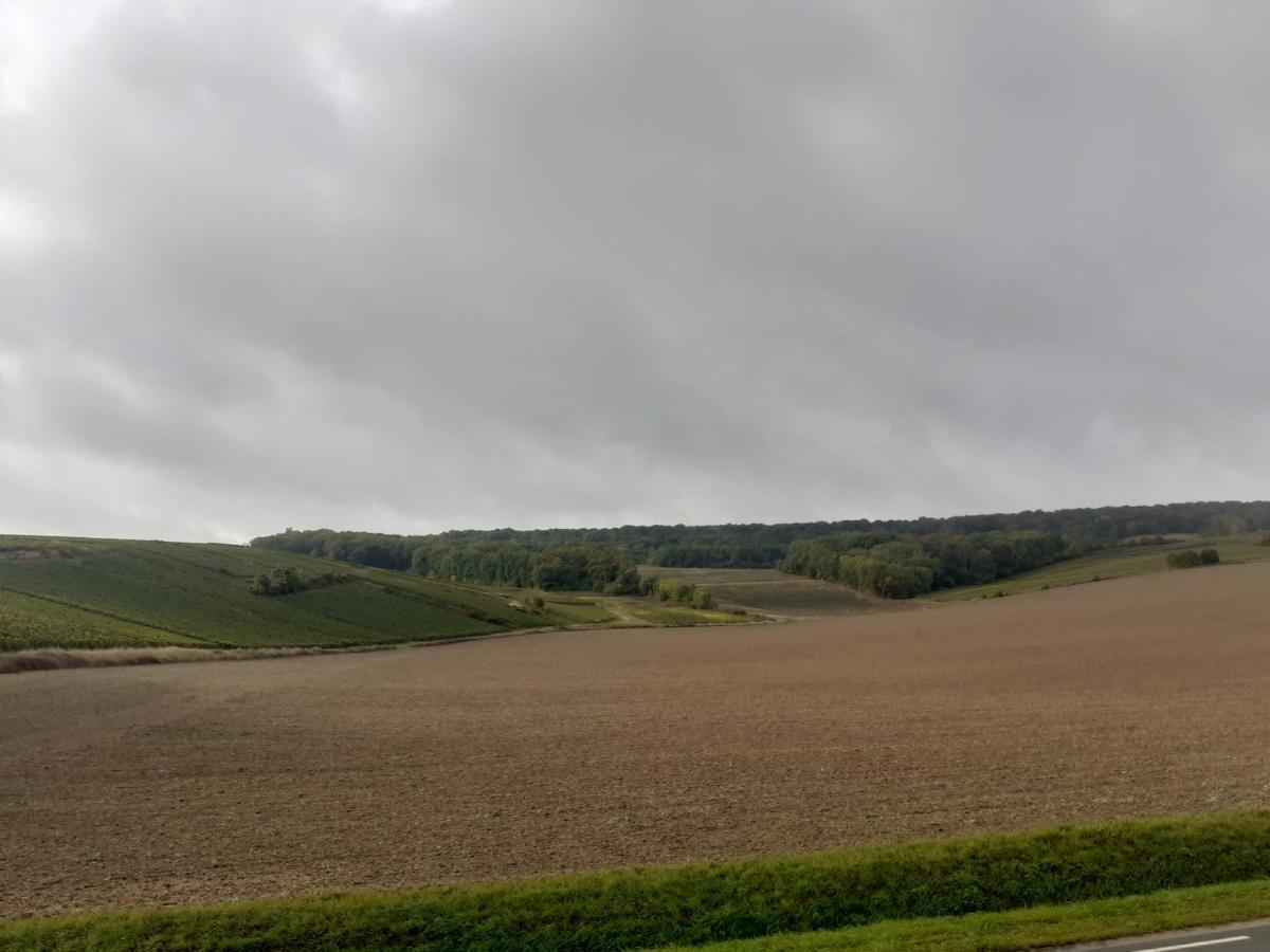 MardeuilDomaine-De-La-Borde A Epernay住宿加早餐旅馆 外观 照片